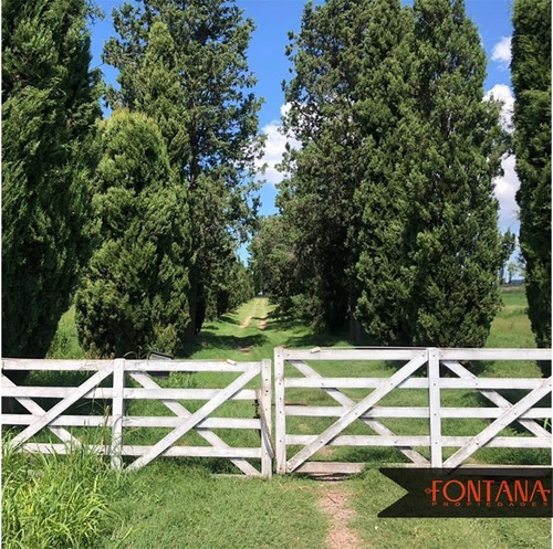 Imagen 1 de 5 de Campo En Venta En San Luis