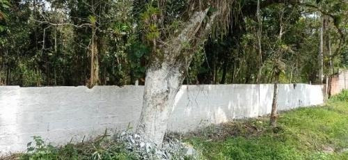 Imagem 13 de 14 de Chácara No Gaivota Em Itanhaém,confira!! 8606 J.a