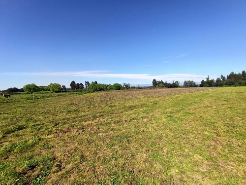 Terreno Agrícola De 6,8 Ha En Venta En San Clemente