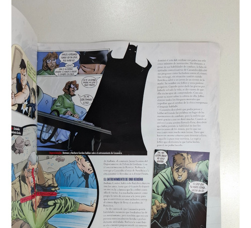 Superheroes Figuras De Colección Dc Comics Batichica