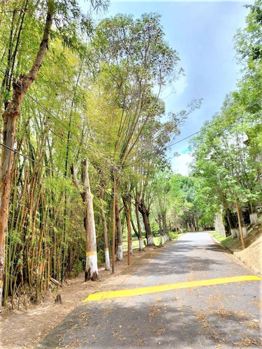 Imagen 11 de 12 de Terreno Urb San Gabriel