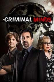 Mentes Criminales Temporada 10 Serie