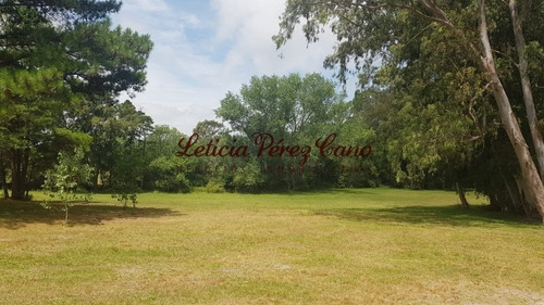 Venta De Chacra En Maldonado, Punta Ballena 5 Has - Ref: 19265