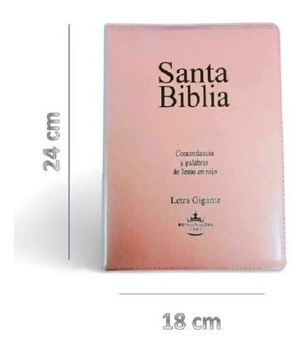 Biblia Reina Valera 1960 Letra Gigante Cierre Pjr Conc. Rosa