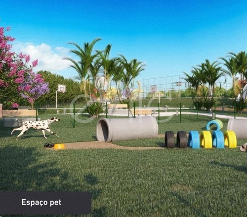 Imagem 12 de 30 de Terreno À Venda Em Olaria - Te009342