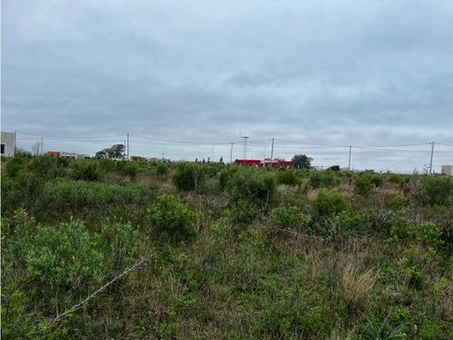 Vendo Lote De 1 Hectárea En San Justo, Entre Ríos.