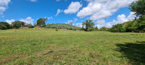 11 Hectáreas Cerca De Minas, Zona Del Campanero