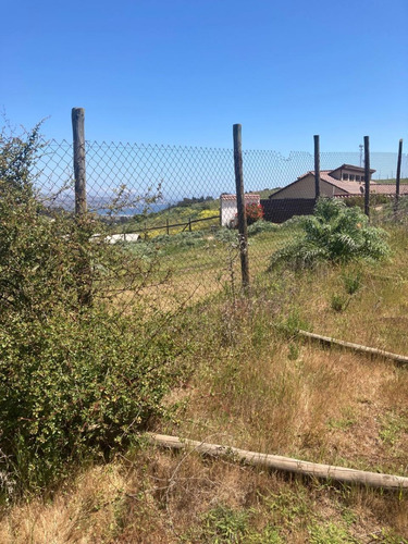 Uf 2280 Terreno Mixto De 1.600m2 Con Luz Y Rol Propio