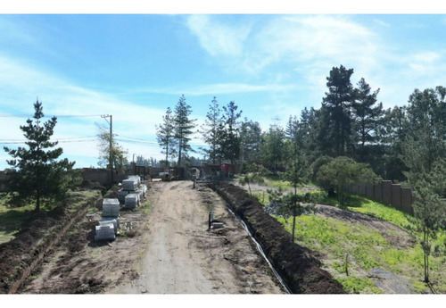 Proyecto Único En Los Pinos, Reñaca