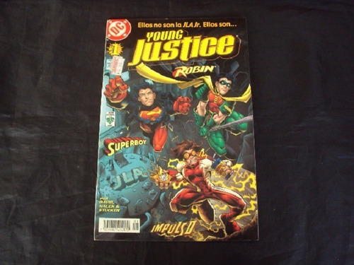 Young Justice # 1 (vid)