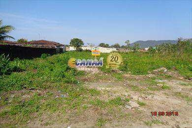Imagem 2 de 2 de Chácara, Itaguaí, Mongaguá - R$ 120 Mil, Cod: 4730 - V4730