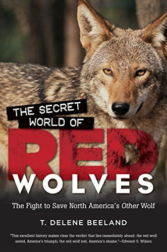 The Secret World Of Red Wolves The Fight To Save North Ameri