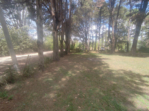 Imagen 6 de 30 de Hermosa Quinta Con Mucha Arboleda Añeja