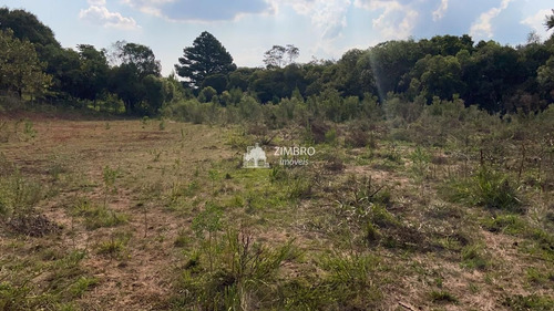 Imagem 8 de 9 de Terreno Com Mil M², Possibilidade De Comprar Dois Lado A Lado - 19581