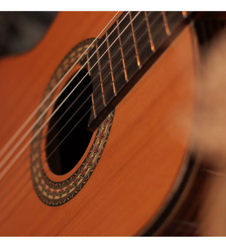 Violão Classico Acustico Camerata Lcs-101 Natural Phx