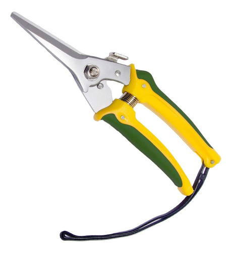 P 2d Especialistas Resistentes Foot Rot Shears Sheep Horse