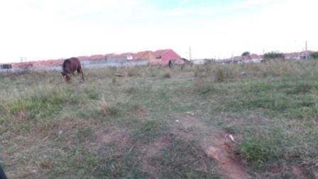 Terreno Em Aberta Dos Morros - Mi13992