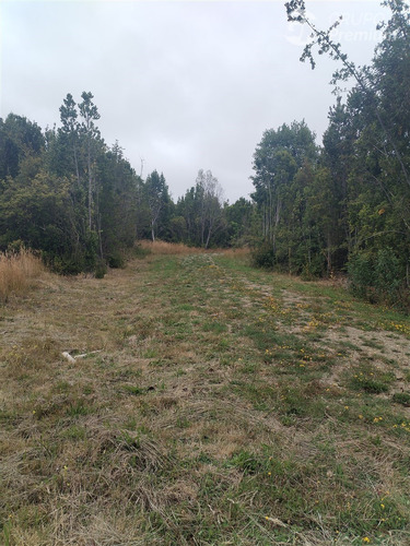 Parcela En Venta En Fresia