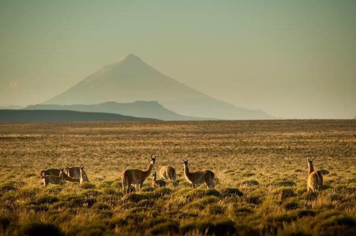Estancia Manantiales De Collón Cura - Patagonia Argentina