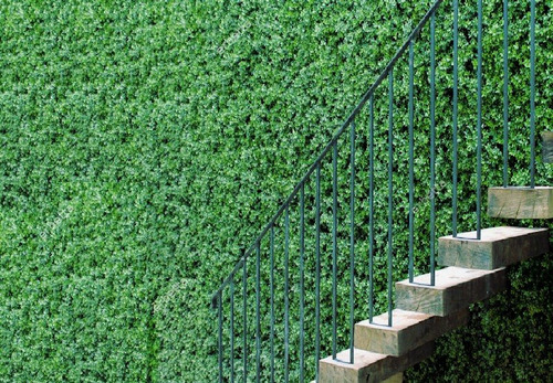 Erbetta Follaje Artificial / Muros Verdes / Woodbox