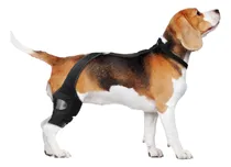 Comprar Equipamento De Proteção Para Animais De Estimação, Cão,