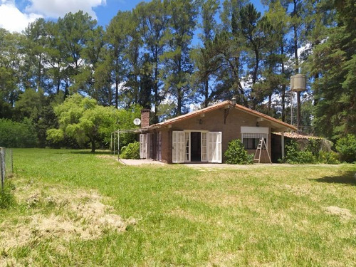 Imagen 30 de 30 de Retasada Venta Casa Quinta Internet -gran Lote 2835m El Remanso Arboleda 40mx72m
