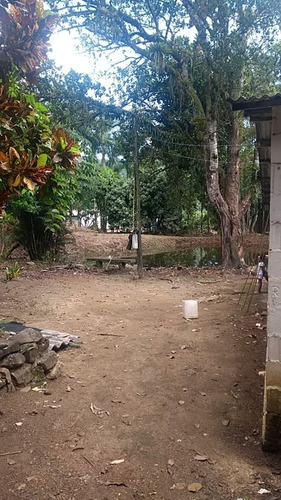 Imagem 2 de 7 de Miracatu/sitio Para Plantio Com Belo Riacho/ref:05350