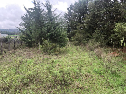 Terreno Plano En Loma De Las Palomas: Tu Refugio En Valle De Bravo