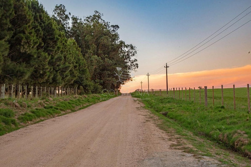 Imagen 3 de 30 de Campo En Jose Ignacio Muy Cerca De La Laguna - Jose Ignacio