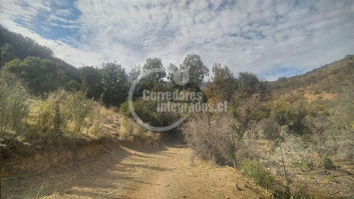 Parcela En Venta En Quilpué