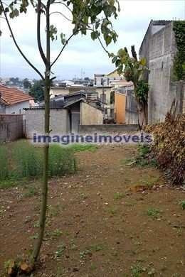 Imagem 4 de 4 de Terreno Na Vila Matilde Com 430m² - Te0008