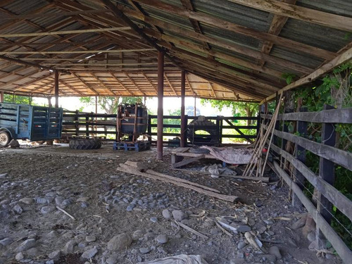Venta Rancho 94 Hectareas El Otatal Alamo Temapache Veracruz