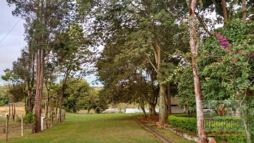 Imagem 15 de 29 de Sítio À Venda, 166676 M² Por R$ 3.100.000,00 - Aleluia - Cesário Lange/sp - Si0076