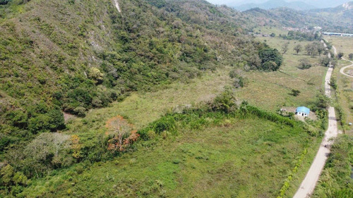 Imagen 21 de 30 de Finca Ganadera En Venta Táchira