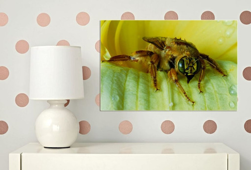 Cuadro 20x30cm Abejas Insectos Miel Colores Flores M5