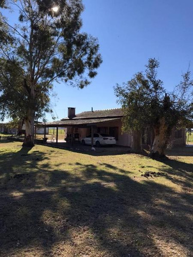 Imagen 7 de 17 de Campo En Venta En Ruta 30 A Metros Sociedad Rural 15
