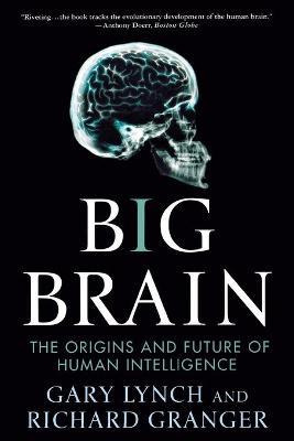 Libro Big Brain : The Origins And Future Of Human Intelli...