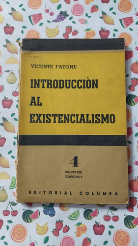 Introduccion Al Existencialismo - Vicente Fatone - Ed Columb