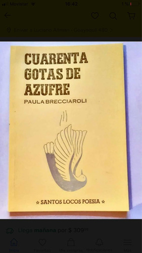 Imagen 1 de 1 de Cuarenta Gotas De Azufre - Paula Brecciaroli - Santos Locos