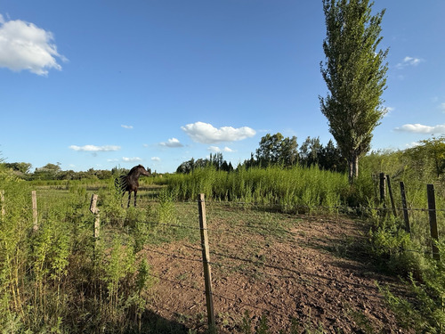 ¡increíble Oportunidad, Terreno En Lobos A La Venta!