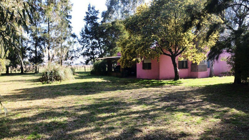 Imagen 13 de 22 de Excelente Chacra De 55 Hectareas Con Casa, Mejoras Y Luz Electrica En Las Flores