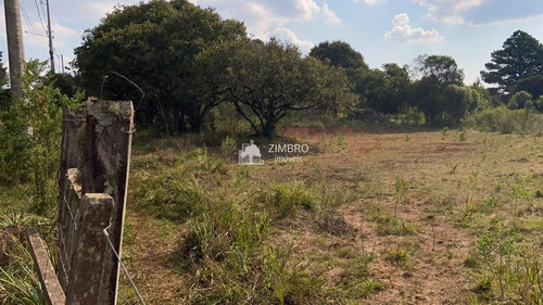 Imagem 7 de 9 de Terreno Com Mil M², Possibilidade De Comprar Dois Lado A Lado - 19581