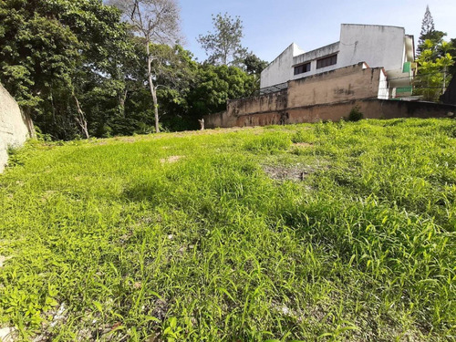 Imagen 7 de 7 de Terreno En Venta En Prebo Ii Cód 451765 María M López