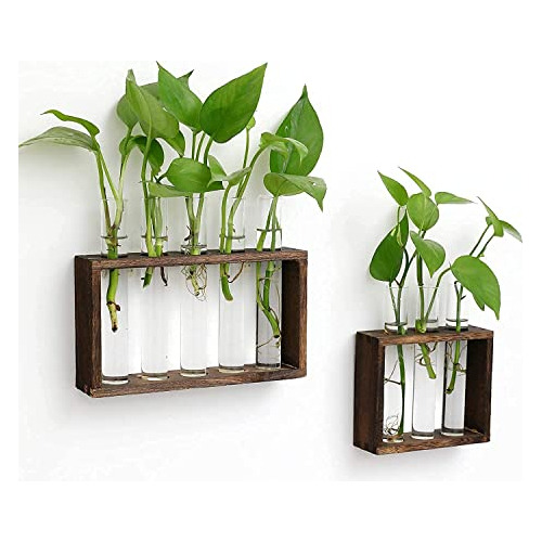 Juego De 2 Colgadores De Pared De Cristal Plantas, Terr...