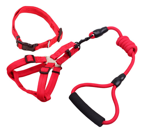 Juego De 3 Arneses Y Correas Para Pasear Mascotas, 12 Mm X 1