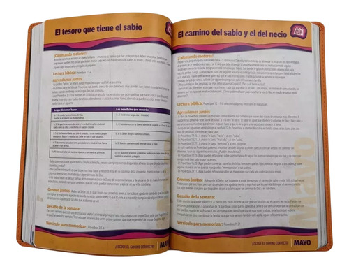 Biblia Devocional Familiar Nbv Naranja - Edición Lujo C Caja
