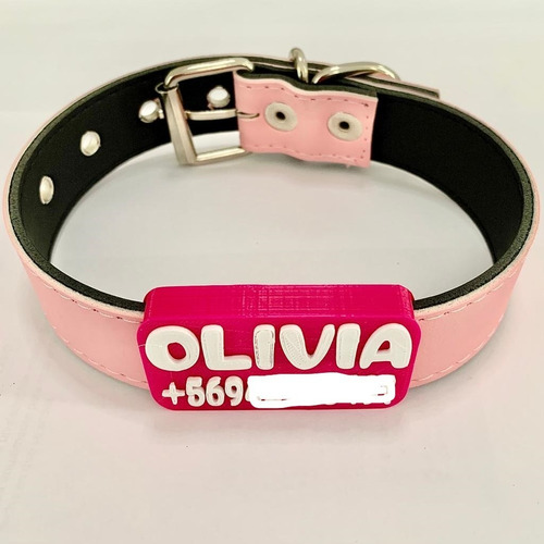 Plaquitas Personalizadas Con Collar Combinación Colores