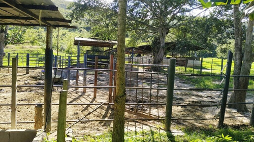 Imagen 8 de 14 de 165595 Katherine Castillo 0412-8567234 Venta Finca Carretera Aguirre