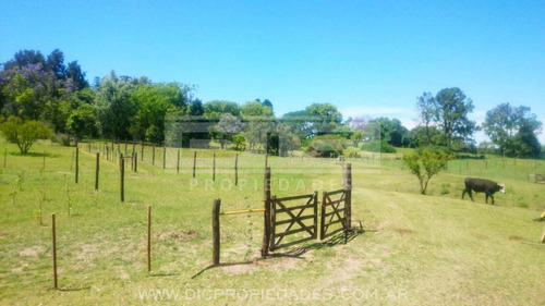 Casa 6 Ambientes En Campo De 3 Hectareas Piscina Quincho En Victoria Prov. De Entre Rios