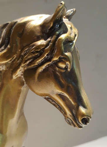 Escultura Bañada Caballo Al Trote